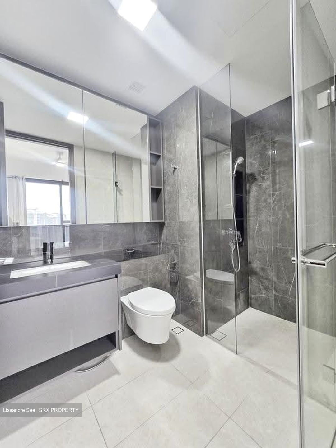 Parc Clematis (D5), Apartment #613667911